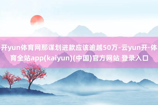 开yun体育网那谋划进款应该逾越50万-云yun开·体育全站app(kaiyun)(中国)官方网站 登录入口