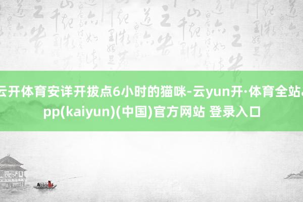 云开体育安详开拔点6小时的猫咪-云yun开·体育全站app(kaiyun)(中国)官方网站 登录入口
