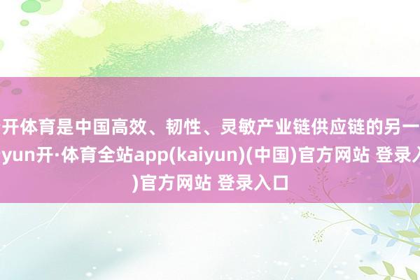 云开体育是中国高效、韧性、灵敏产业链供应链的另一面-云yun开·体育全站app(kaiyun)(中国)官方网站 登录入口