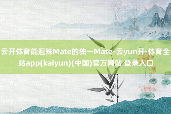 云开体育能迥殊Mate的独一Mate-云yun开·体育全站app(kaiyun)(中国)官方网站 登录入口