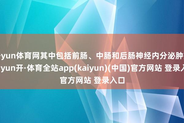 开yun体育网其中包括前肠、中肠和后肠神经内分泌肿瘤-云yun开·体育全站app(kaiyun)(中国)官方网站 登录入口